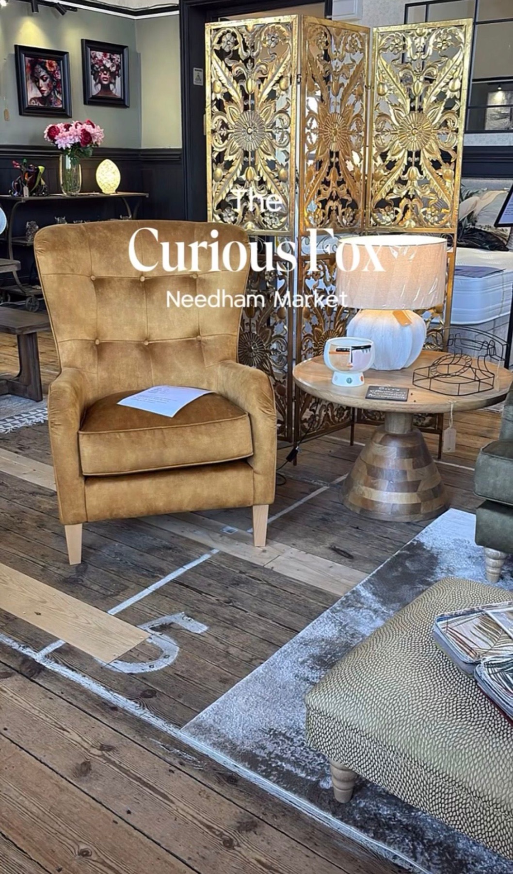 Inside The Curious Fox